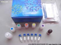 生物制品市场概览 从产品、价格到供应链的全面解析