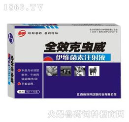 西安坤昱生物制品连锁有限责任公司 日用品技术研发的创新驱动与未来展望